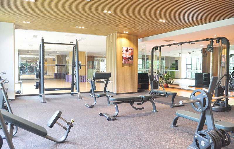 酒店健身房器材,高端健身房器材,室内健身器材-广西今年会jinnianhui体育健身器材有限公司